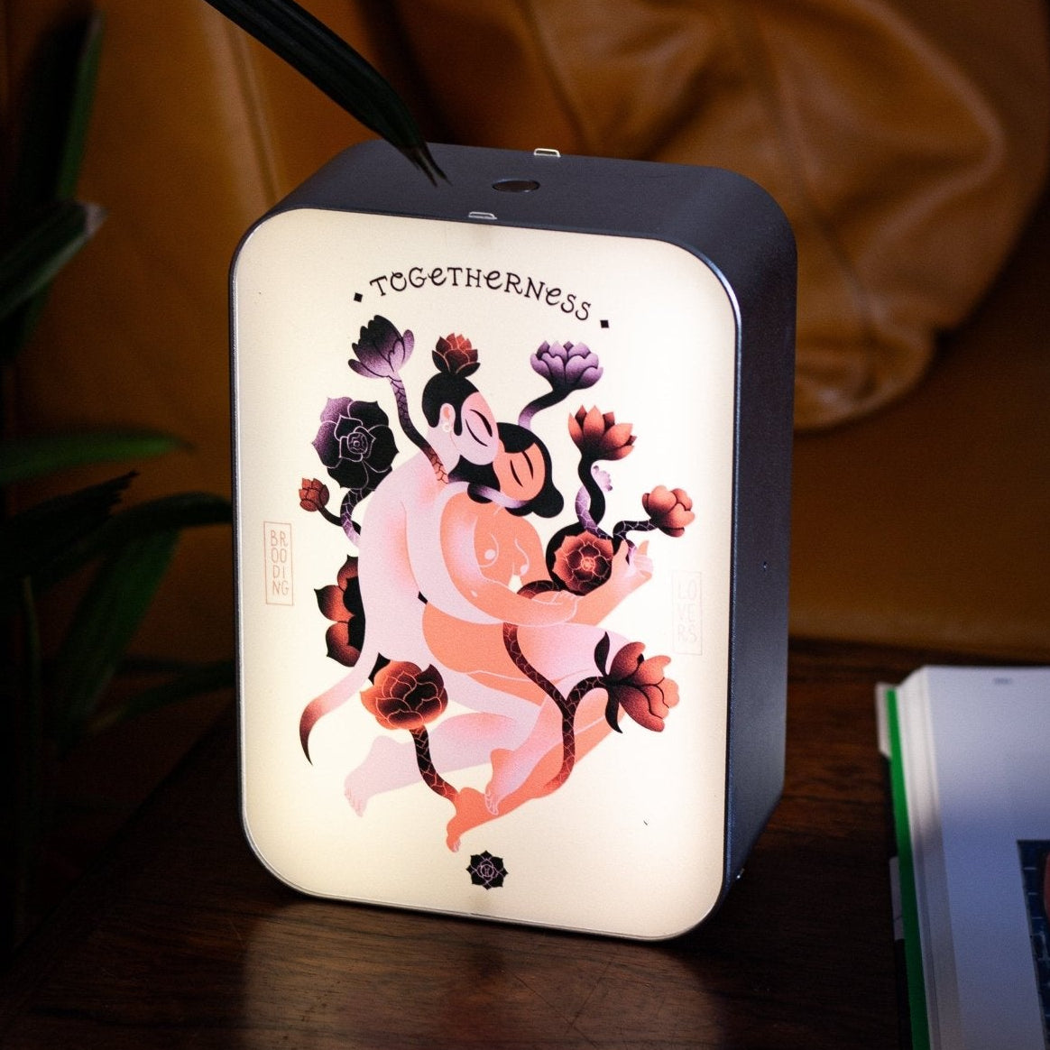 A Street Lamp - Street Collector