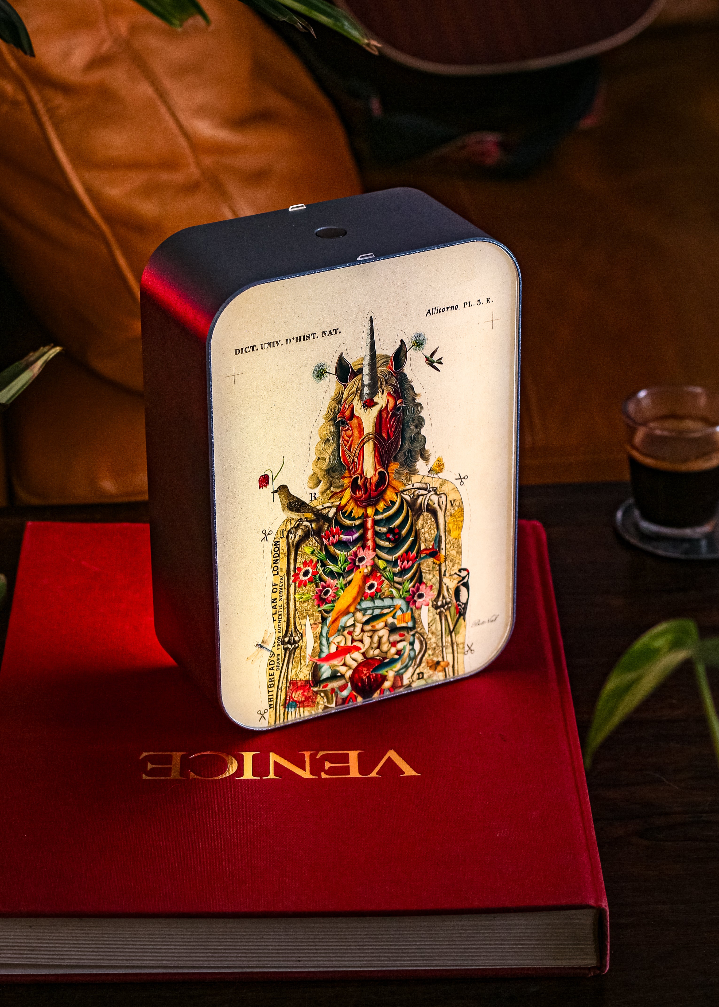 Autopsy of a Unicorn