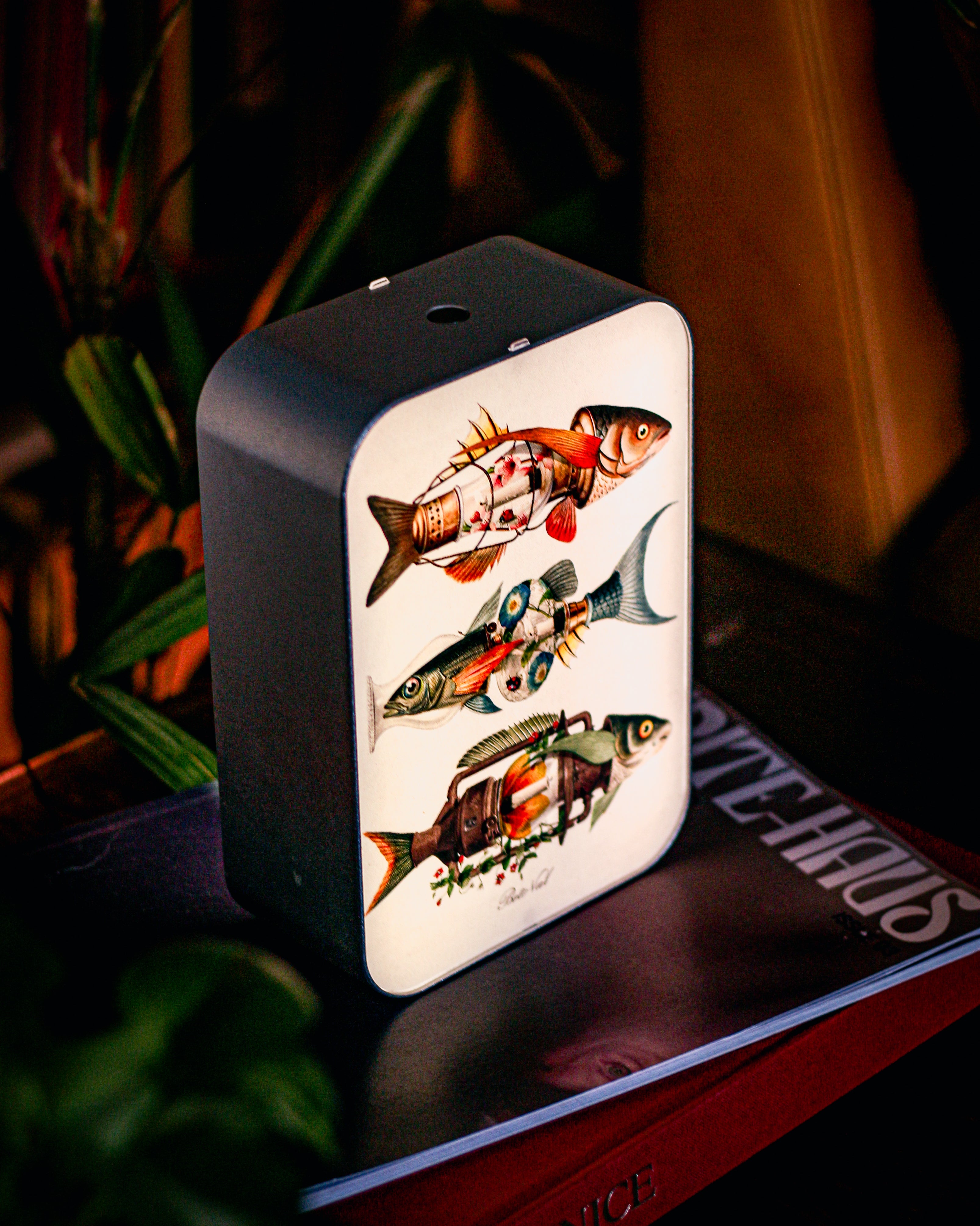 Lamp Fish