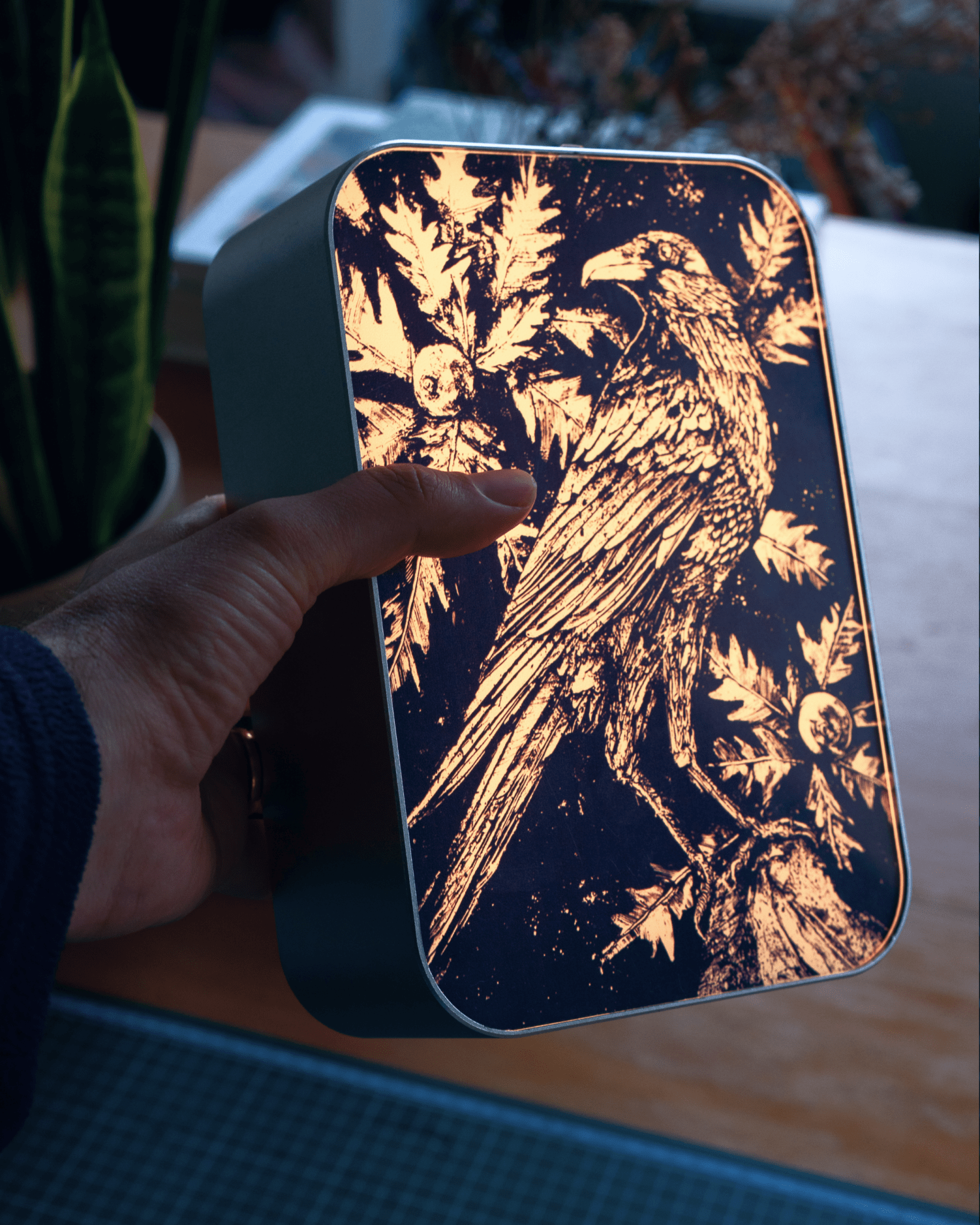 CIELO STELLATO / Starry Night 1 - Street Collector